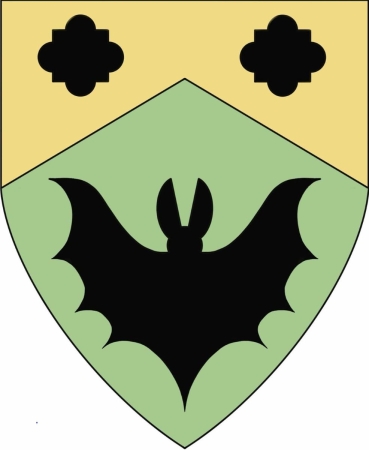 Arms Image