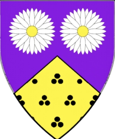 Arms Image